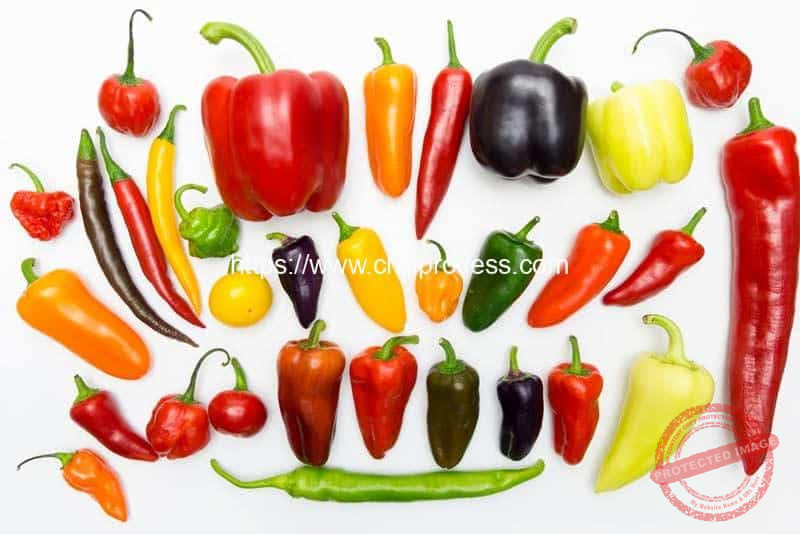 Different Kinds of Peppers introduction Different-Kinds-of-Peppers-introduction